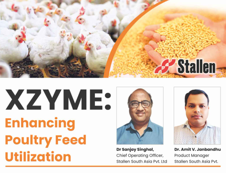 XZYME: Enhancing Poultry Feed Utilization
